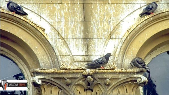 Zábrany proti holubům Praha