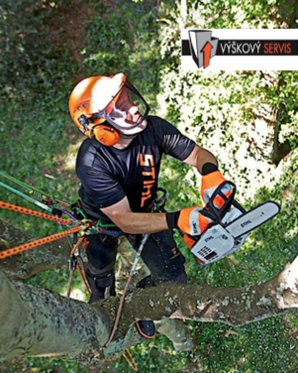 Výškové prořezy stromů