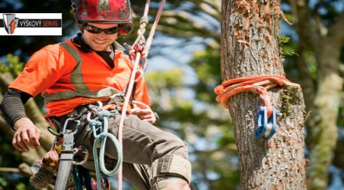 Výškové kácení stromů pomocí lanových technik