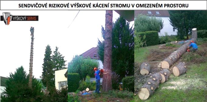 Odklízení padlých stromů
