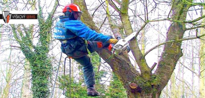 Výškové kácení stromů ve ztížených podmínkách