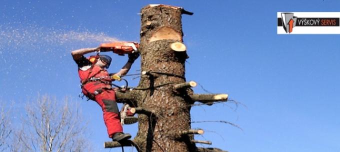 Výškové stromolezectví